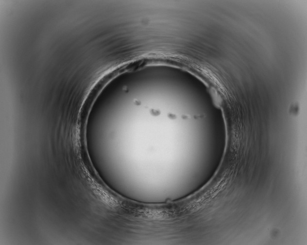 X0000100850976200806271132