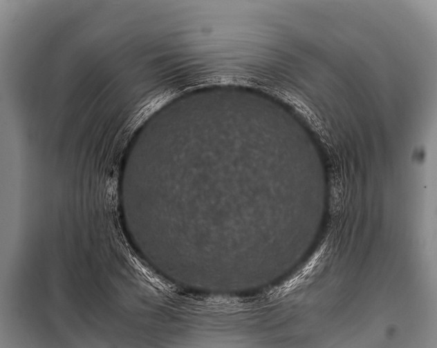 X0000100850977200806271132