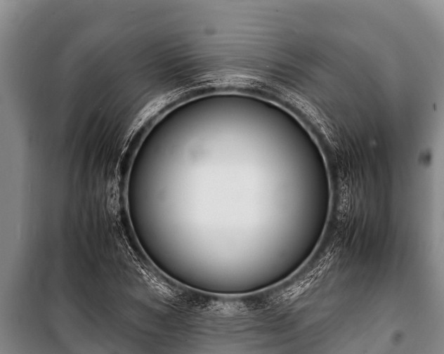 X0000100850978200806271132