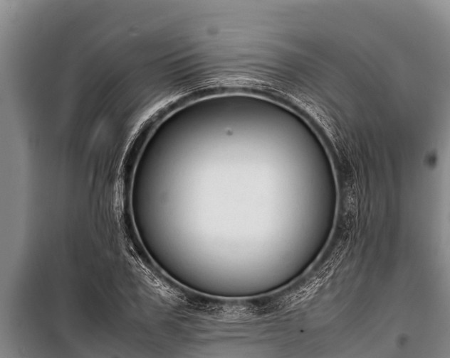 X0000100850979200806271132