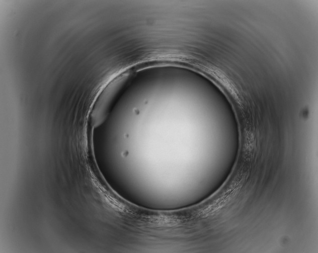 X0000100850980200806271132