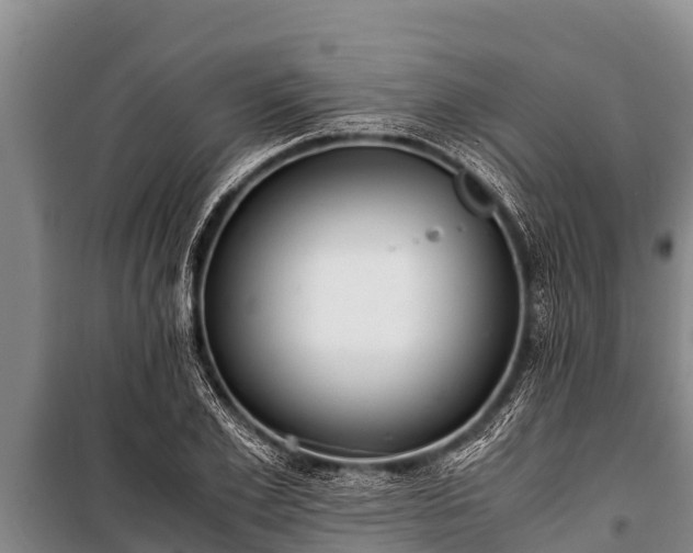 X0000100850981200806271132