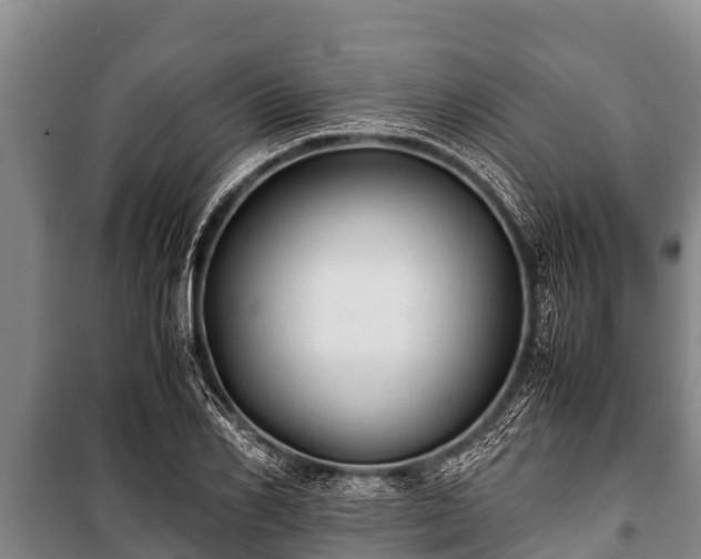 X0000100850982200806271132