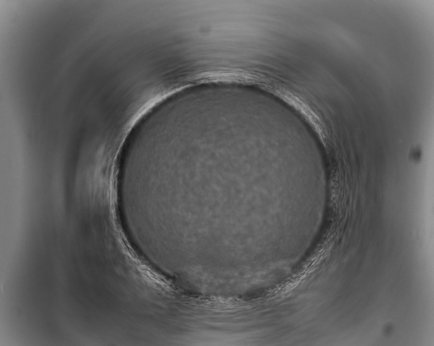 X0000100850983200806271132