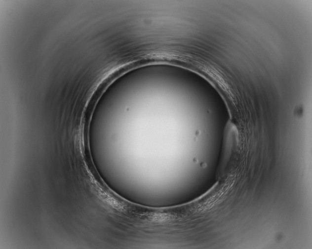 X0000100850984200806271131