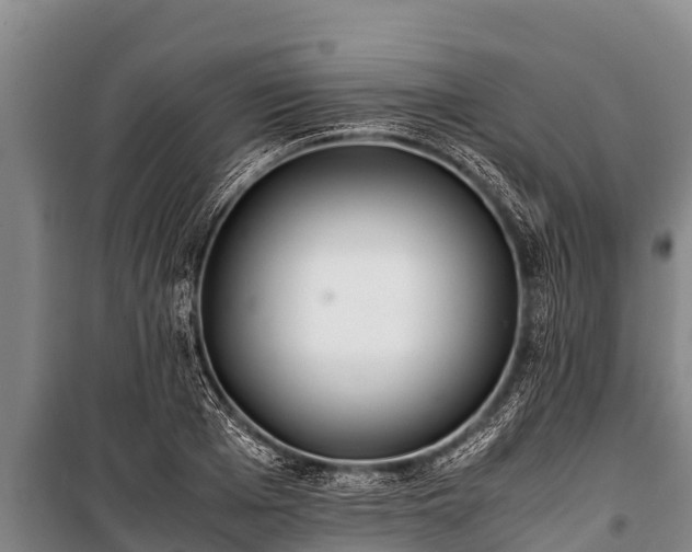 X0000100850985200806271131
