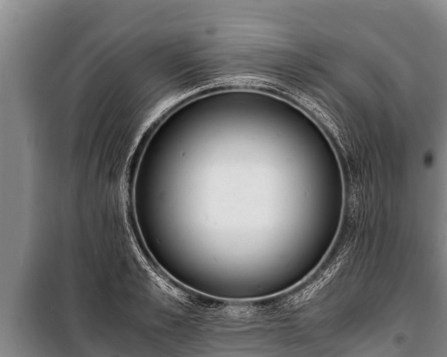 X0000100850989200806271131