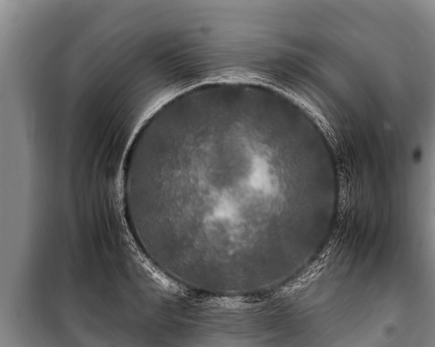 X0000100850990200806271131