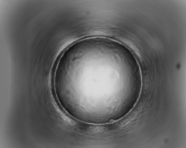 X0000100850991200806271131