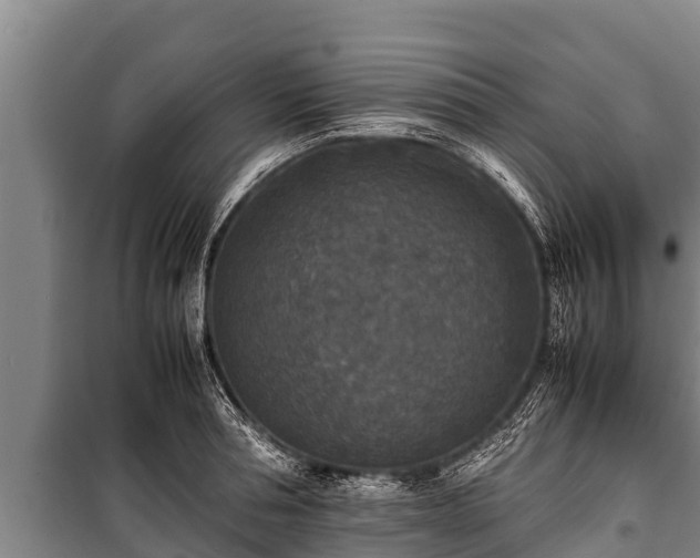 X0000100850994200806271131