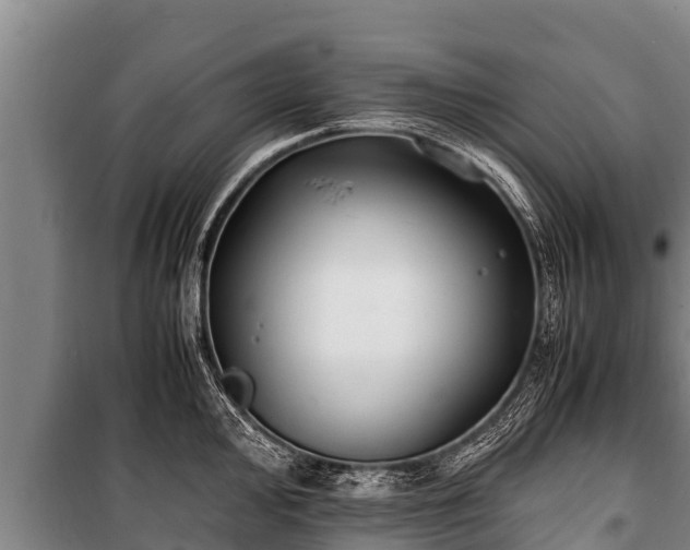 X0000100851000200806271131