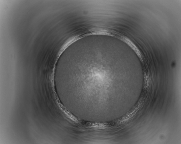 X0000100851002200806271131