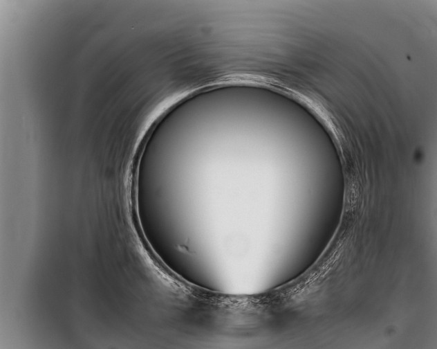 X0000100851003200806271131