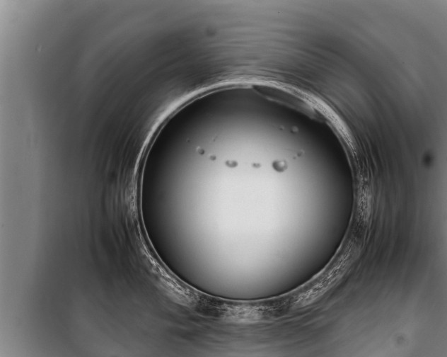 X0000100851004200806271131