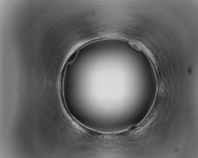 X0000100851005200806271131