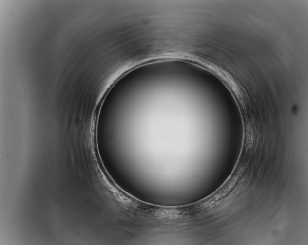 X0000100851006200806271131