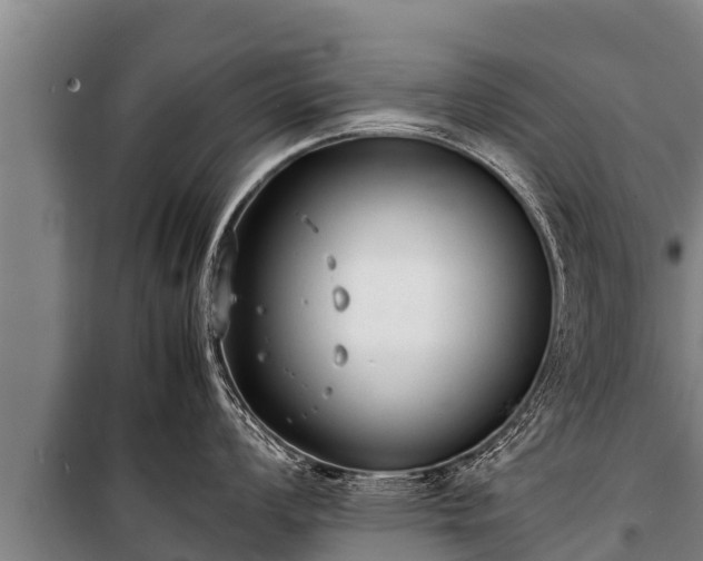 X0000100851008200806271131