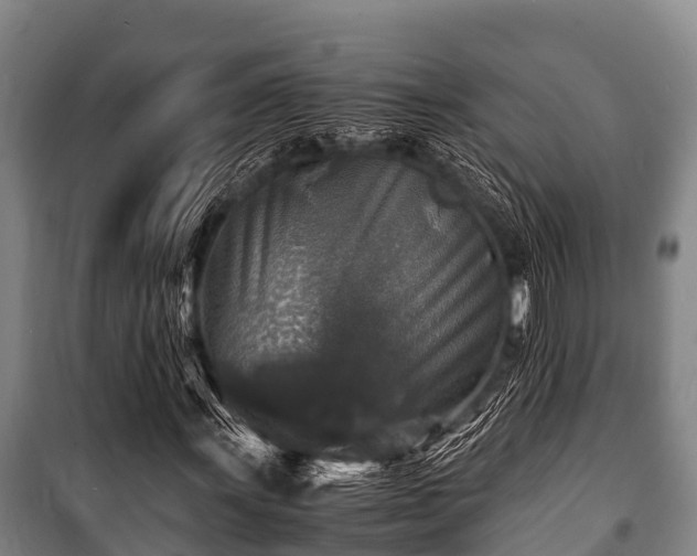 X0000100851011200806271130