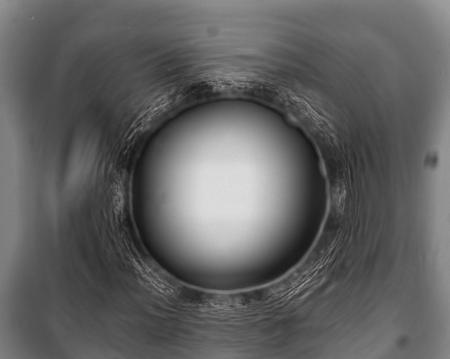 X0000100851012200806271130