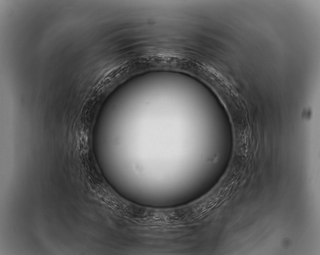 X0000100851013200806271130