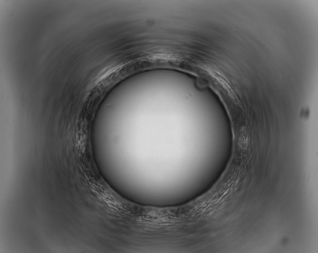 X0000100851015200806271130