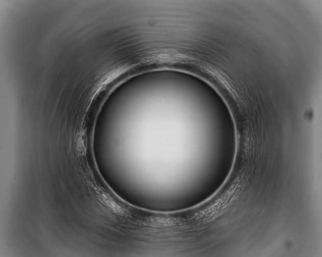 X0000100851018200806271131