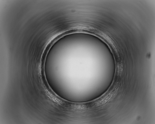 X0000100851020200806271131