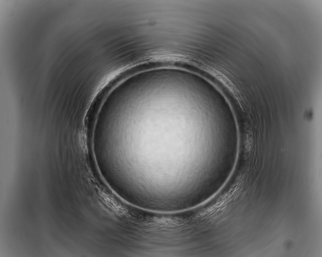 X0000100851022200806271131