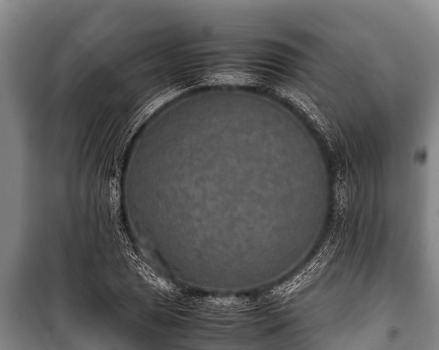 X0000100851025200806271131