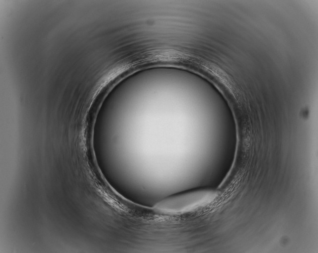 X0000100851026200806271131