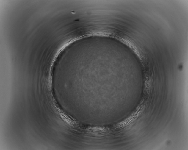 X0000100851027200806271131