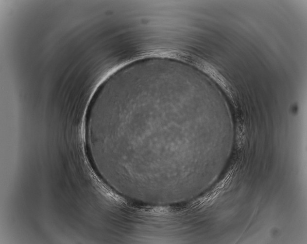 X0000100851028200806271131