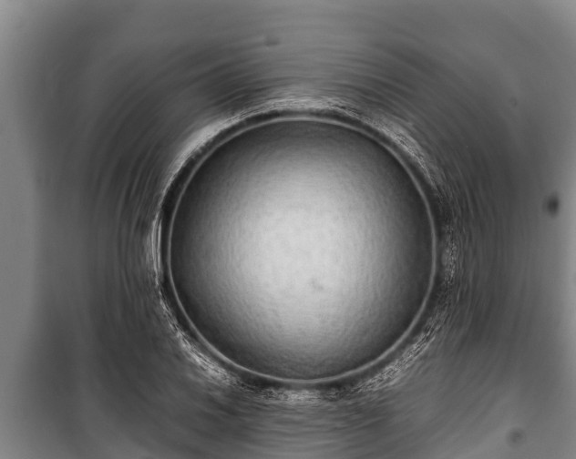 X0000100851030200806271131