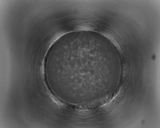 X0000100851031200806271131