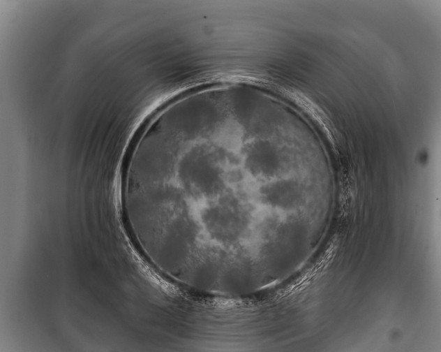 X0000100851032200806271131