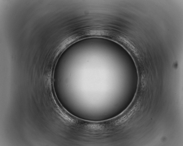 X0000100851033200806271131