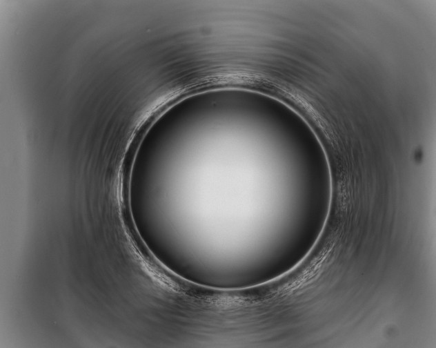 X0000100851034200806271131