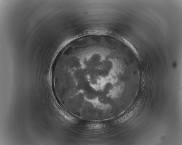 X0000100851035200806271131
