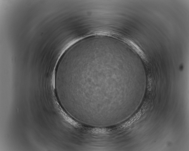 X0000100851036200806271131