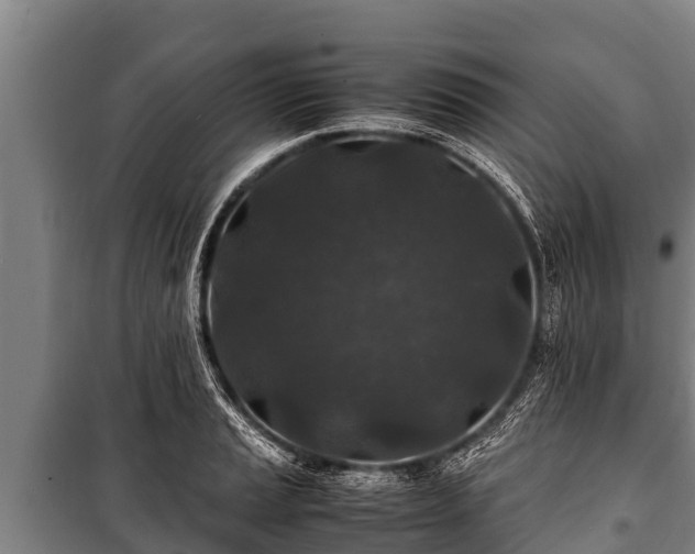 X0000100851037200806271131