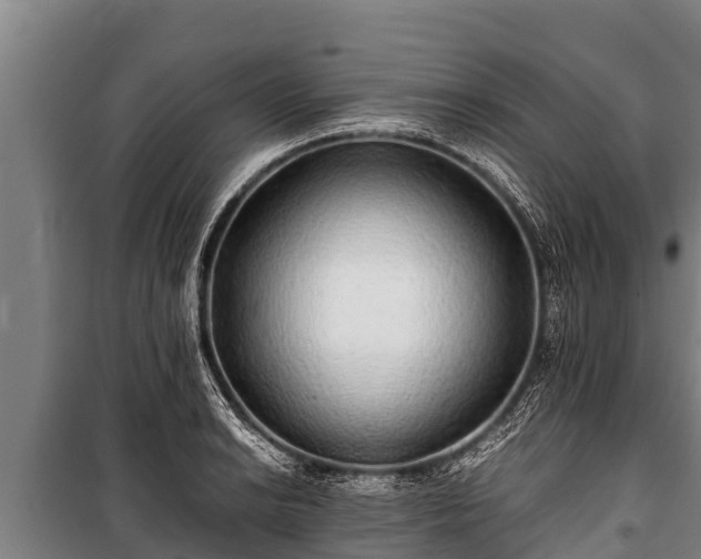X0000100851038200806271131