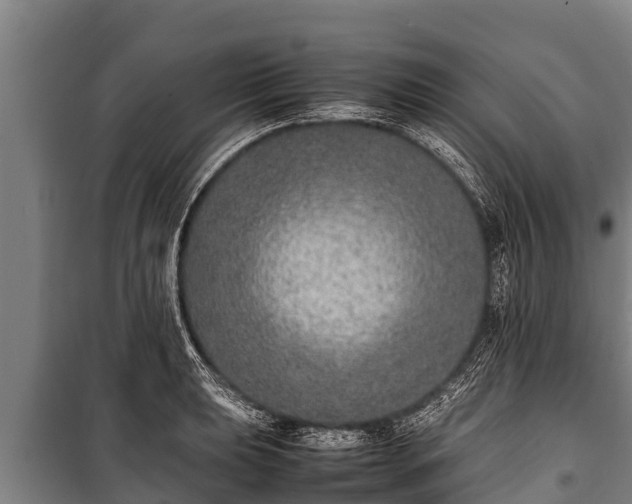 X0000100851039200806271131