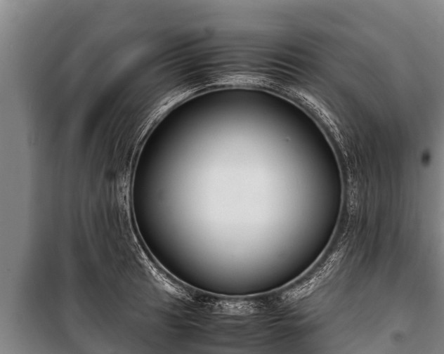 X0000100851041200806271131