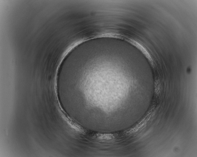 X0000100851043200806271131