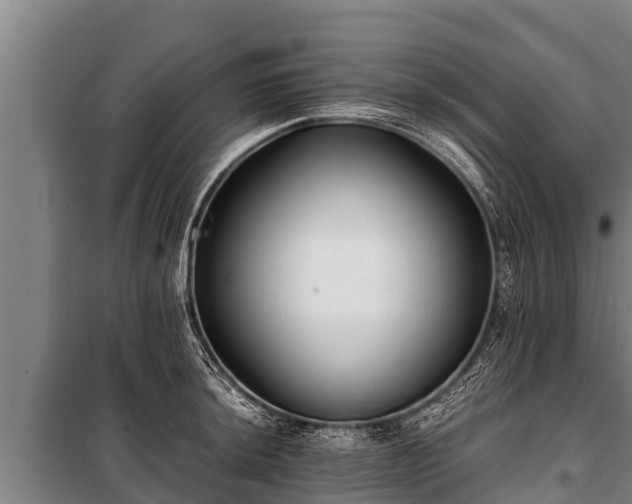 X0000100851044200806271131