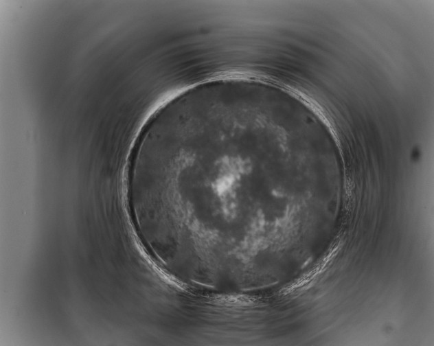 X0000100851045200806271131