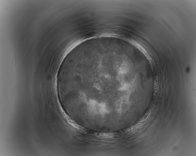 X0000100851047200806271131