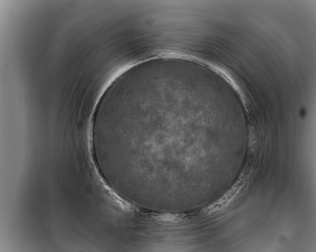 X0000100851048200806271131