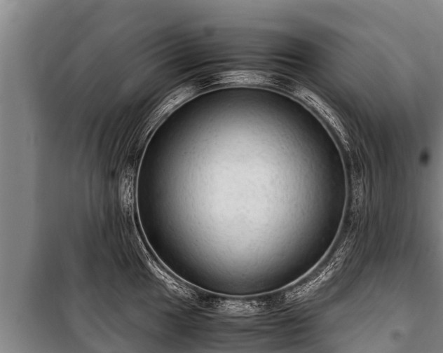 X0000100851049200806271131