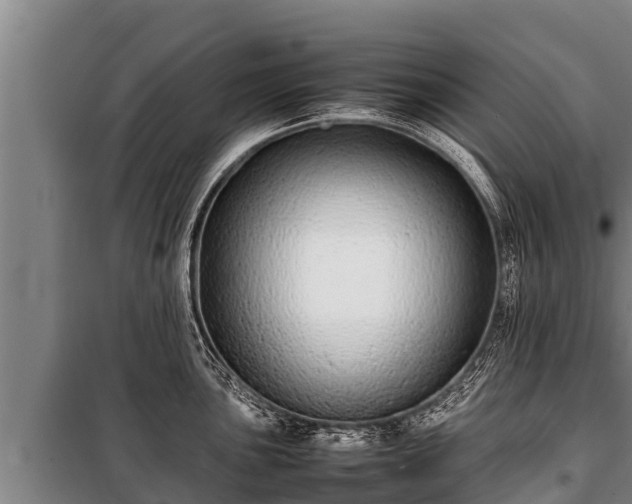 X0000100851051200806271131